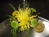 Fresh plated cuisine prepared for service